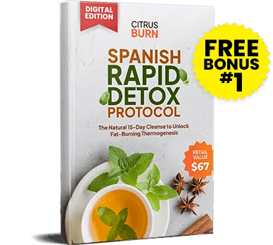 Rapid Detox Protocol bonus e-book cover