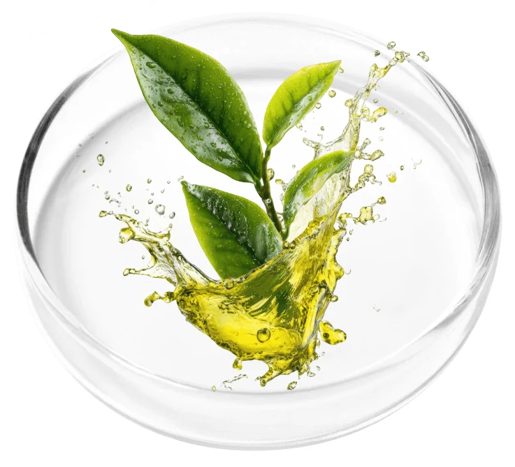 Tea Tree Oil