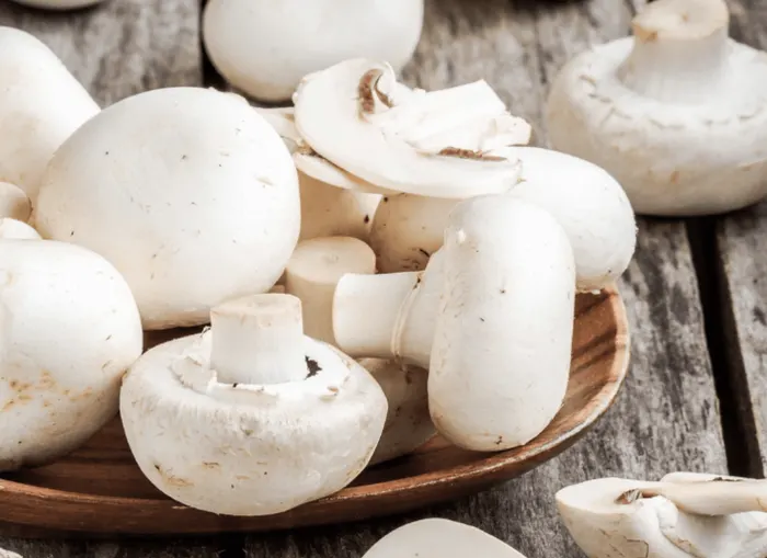 White Button mushroom (Agaricus bisporus)