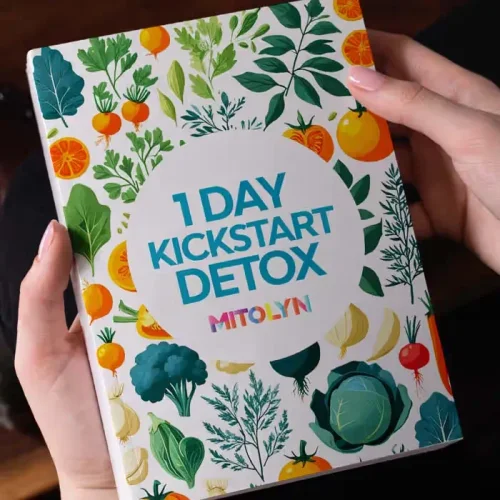 1-Day Kickstart Detox bonus guide cover
