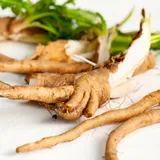 Fresh chicory roots, the source of the inulin fiber in Sodatide