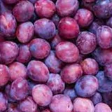 Ripe purple plums, the fruit behind the plum ingredient in SugarMute