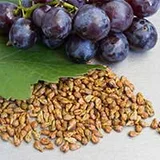 Grapes and grape seeds, the source of the grape seed extract in ZenCortex