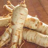 Panax ginseng roots, the source of the ginseng extract in ZenCortex